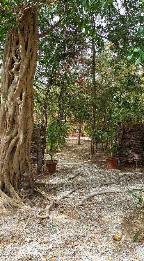 Evergreen Eco Lodge Retreat Tujereng Eksteriør bilde